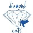Profilový obrázek uživatele diamond-cats-dana