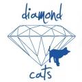 Profilový obrázek - diamond-cats-dana