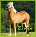 Profilový obrázek - elyon10