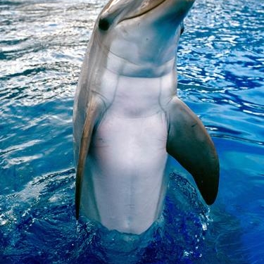 Profilový obrázek uživatele delfinn6