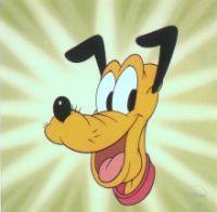 PLuto.petr