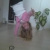nicolka1